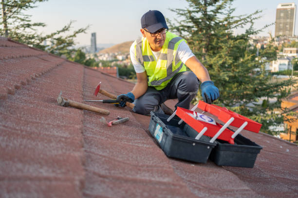 Best Storm Damage Siding Repair  in Mount Pleasant, IA